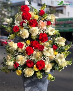 Rực rỡ -  CITY (094)