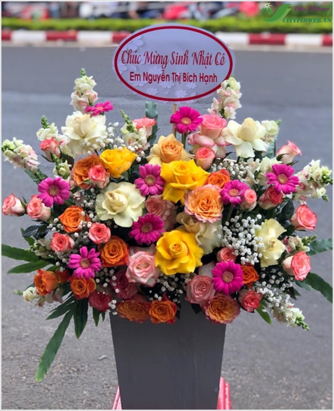 Biết ơn -  CITY (097)