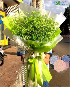 Trái tim yêu thương -  CITY (033)