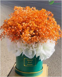 Hoa bi - hoa baby CITY (024)