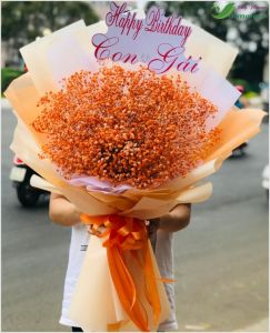 Hoa bi - hoa baby CITY (026)