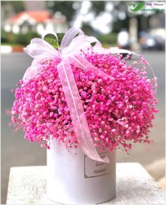 Hoa bi - hoa baby CITY (029)