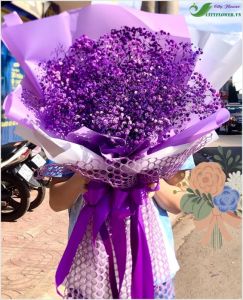 Hoa bi - hoa baby CITY (030)