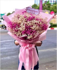 Baby flowers  - hoa baby CITY (054)