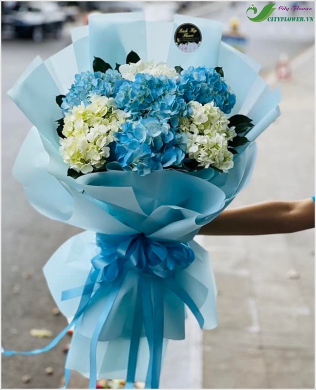 Tình yêu diệu kì -  CITY (102)