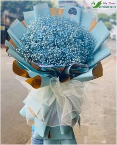 Hoa bi xinh  - hoa baby CITY (120)