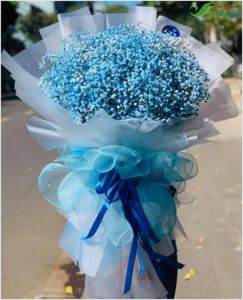 Khát vọng tình yêu -  - hoa baby CITY (127)