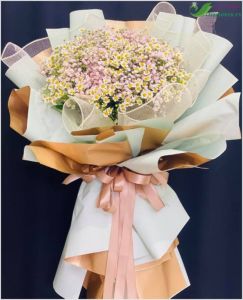 Hoa thạch thảo - CITY (139)