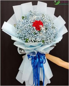 Hoa bi xinh  - hoa baby CITY (140)