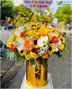 Mọi sự như ý -  CITY (142)