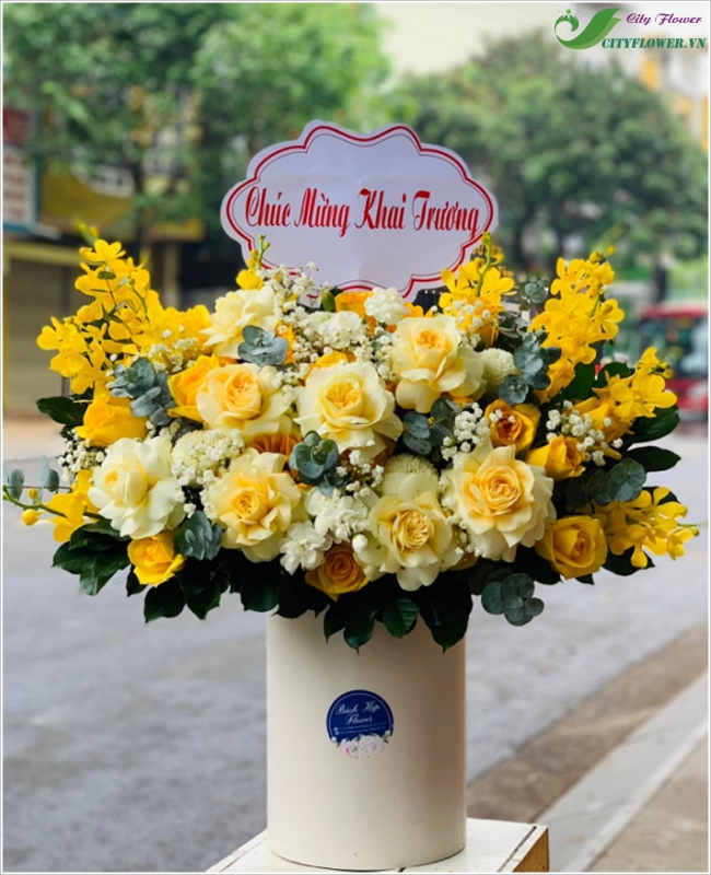 Mọi sự như ý -  CITY (144)