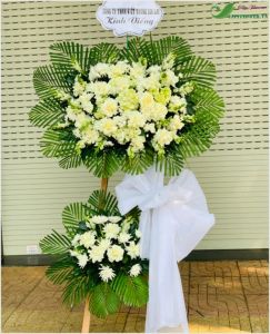 Cuộc sống mong manh -  CITY (197)