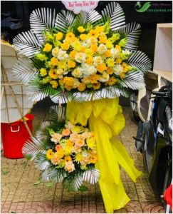 Sớm ngày thành công -  CITY (162)