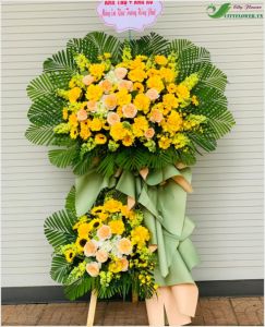 Hoà khí sinh tài -  CITY (168)z