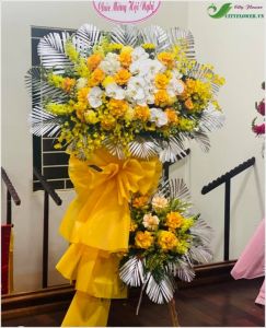 Đại phát tài -  CITY (169)