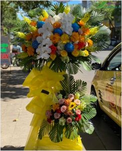 Vươn cao -  CITY (173)