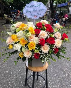 Mộng mơ -  CITY (215)