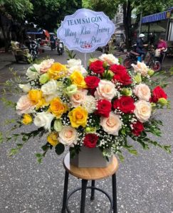 Sắc xuân -  CITY (217)