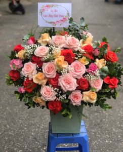 Ngọt ngào - CITY (224)