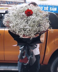 Dịu dàng em đến -  CITY (226)