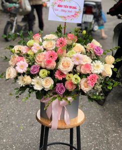 Thơ mộng -  CITY (236)