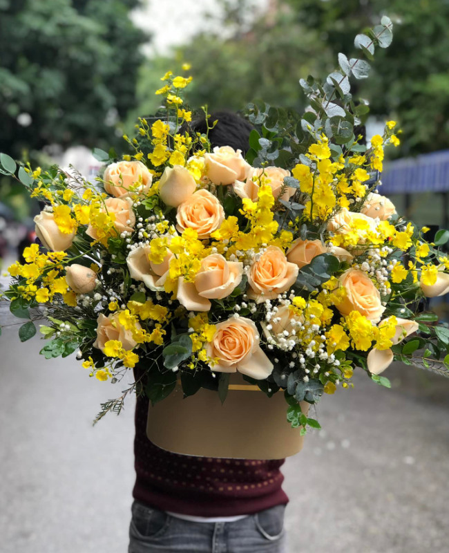 Nắng vàng rực rỡ -  CITY (238)