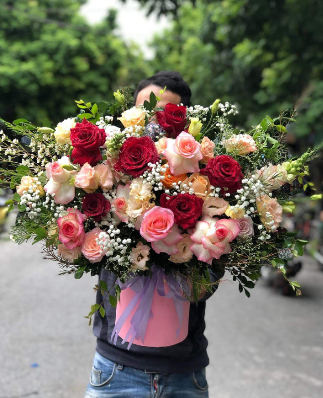 Vững chãi -  CITY (241)