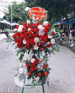 Vươn cao thành công -  CITY (232)