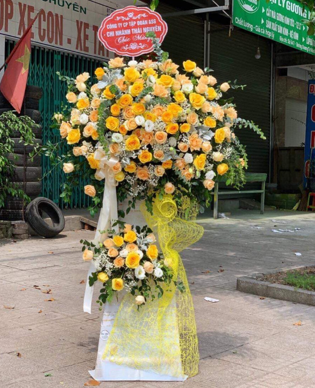 Sung túc -  CITY (233)