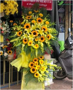 Đại thắng lợi -  CITY (041)