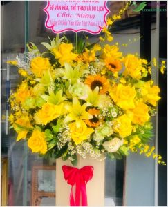 Cuộc đời tươi đẹp -  CITY (002)