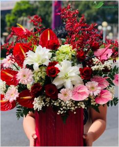 Khởi sắc -  CITY (006)