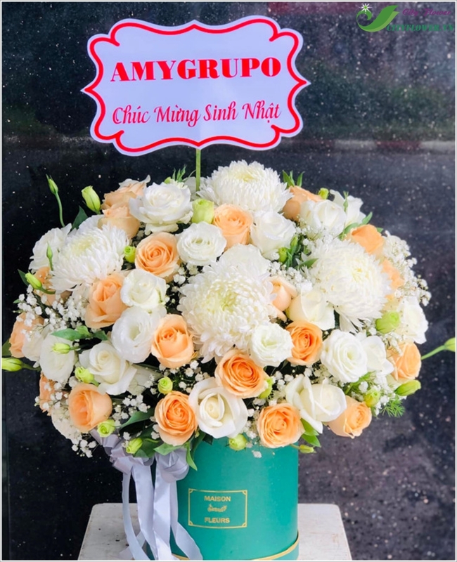 Ánh dương -  CITY (009)