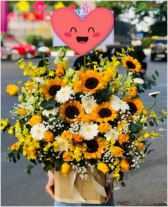 Ánh nắng rực rỡ -  CITY (037)