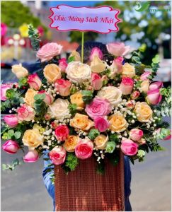 vui vẻ -  CITY (044)