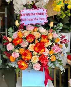 Vươn cao vươn xa -  CITY (067)