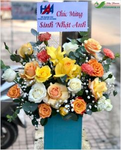 Luôn bình an - CITY (078)