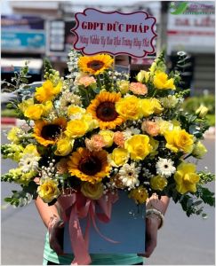 Đâm chồi nảy lộc -  CITY (079)